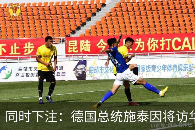 同时下注：德国总统施泰因将访华，几乎同时总理默茨将访问日本