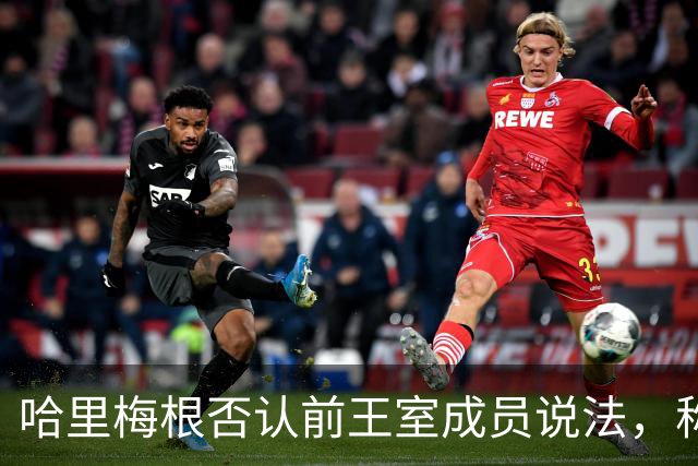 哈里梅根否认'前王室成员'说法，称我们是王室成员，也在工作