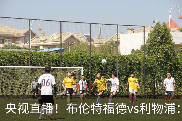 央视直播！布伦特福德vs利物浦：红军伤兵满营，小蜜蜂主场不败