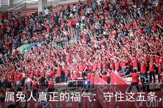 属兔人真正的福气：守住这五条，余生安稳顺遂