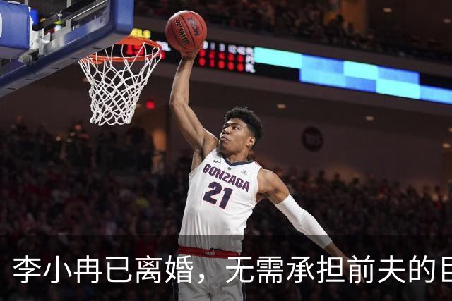 李小冉已离婚，无需承担前夫的巨额债务，法律边界清晰，提前布局守住了自身权益