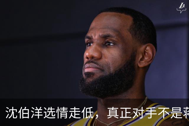 沈伯洋选情走低，真正对手不是蒋万安，也不是大陆，而是赖清德？