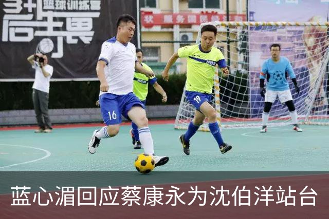 蓝心湄回应蔡康永为沈伯洋站台